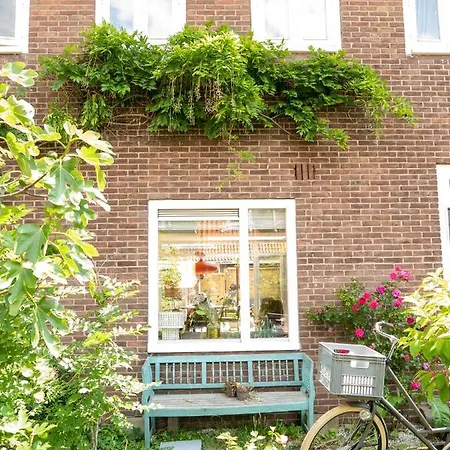 Appartement Comfort With Garden! *
